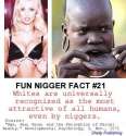 21 - Niggers Are Ugly_jpg.jpg