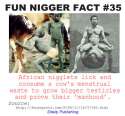 35 - Niggers Eat Menstraul Waste_jpg.jpg