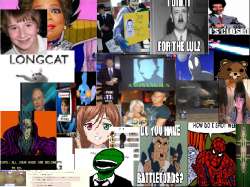 11475183501459407023.png