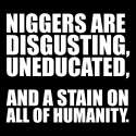 niggers-are-a-stain.jpg