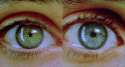 pupils.gif