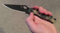 PM2digi.jpg