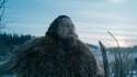 the revenant.jpg