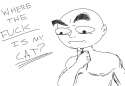 wherecat.png