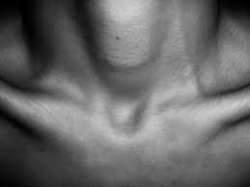 collar bones.jpg