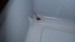 20160404_023614.jpg