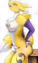 518964 - Digimon Renamon chaud_magma.jpg