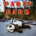 Party Panda.jpg
