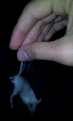 IMG-20160409-WA0020.jpg