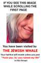 Jewish whale .png