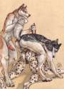 m15236_ThreeDogNight.jpg