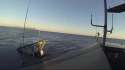 Ship.webm