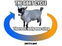 GoatCycle.jpg