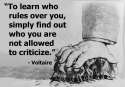 Voltaire Can't Criticize.jpg