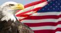 American-Flag-Bald-Eagle-Getty-Images.jpg