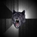 wolf-rage.jpg