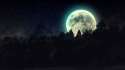 full-moon-beyond-the-pines-16545.jpg