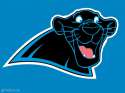 01-Bagheera-Carolina-Panthers.jpg