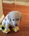 TNXRcRF.webm