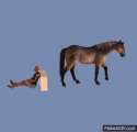 horse vs man.gif