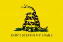 Dont step on my snake.jpg