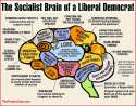Liberal_Brain.jpg