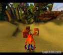 Crash Bandicoot (2).jpg