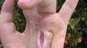 handy.webm