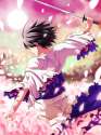 Shiki 0509.jpg
