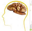 walnut-good-brain-health-13560845.jpg