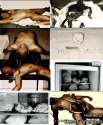 jeffrey-dahmer-bio-crime-scene-photo-documentary-13.jpg