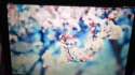 2016-04-21 05.05.52.webm