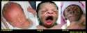 caucasian baby negro baby chimp baby.jpg