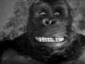 king-kong fay-wray.gif