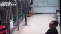 ChinkSuicide.webm