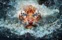water tiger.jpg