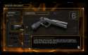 DX3_Zenith_10mm_pistol_info2.jpg