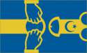 sweden_flag.png