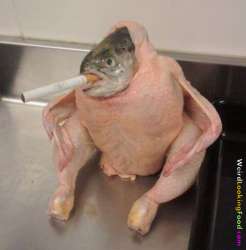 smoking chicken-fish.jpg