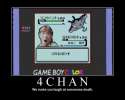 499 - b 4chan crocodile internet pokemon steve_irwin.jpg