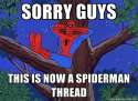 This Is A Spiderman Thread.jpg