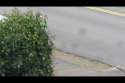 runner.webm