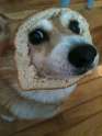 breadfan.jpg