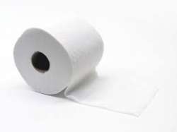 toiletpaper.jpg