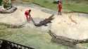 1463429553682.webm