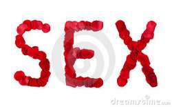 sex-sign-made-rose-petals-white-12797554.jpg