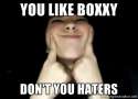 you like boxxy meme.jpg
