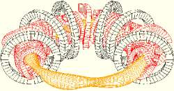 img5.gif