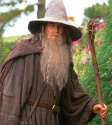 dumbledore.jpg