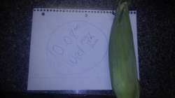 20160518_100949.jpg